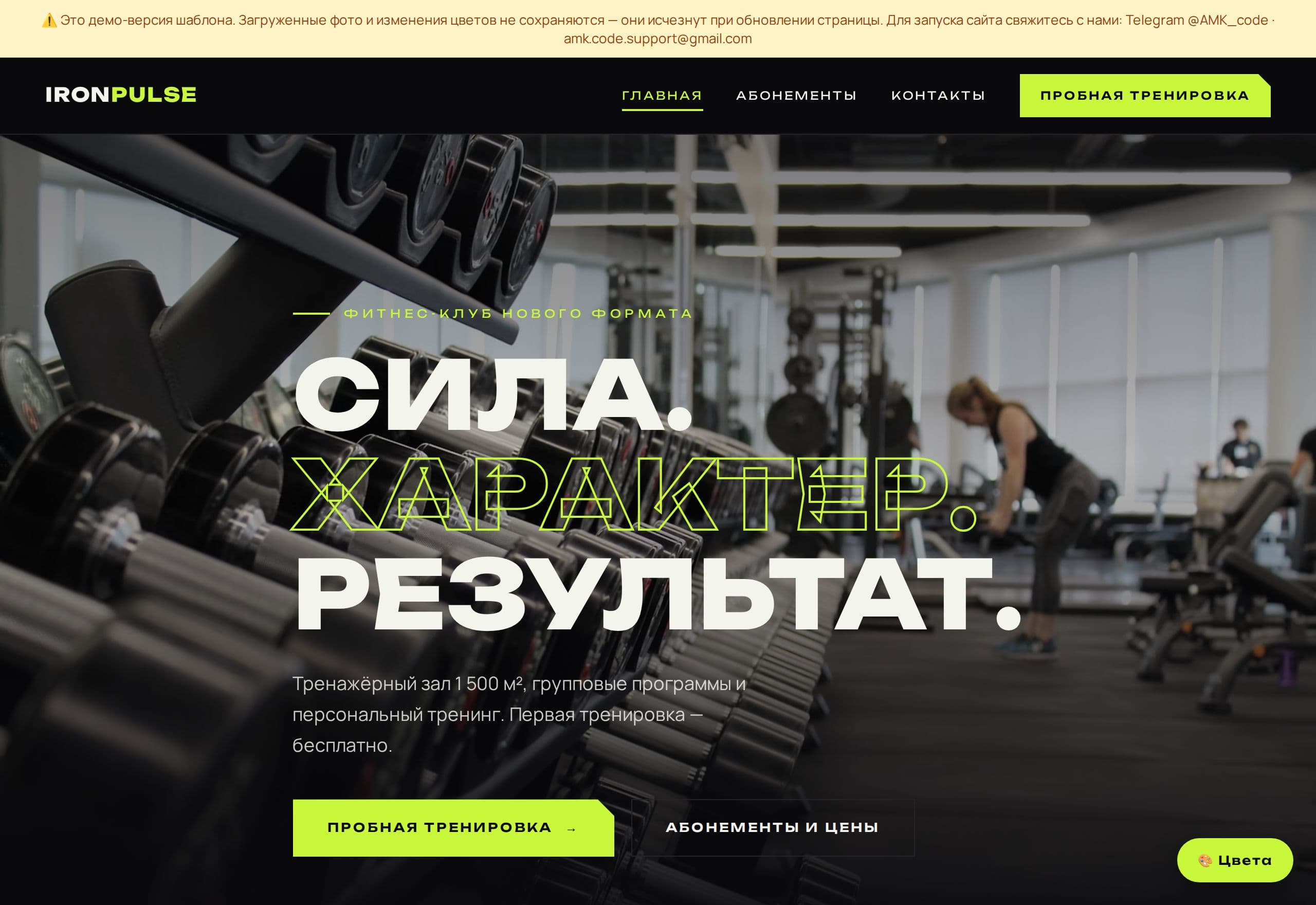 IronPulse — template preview (Fitness club)
